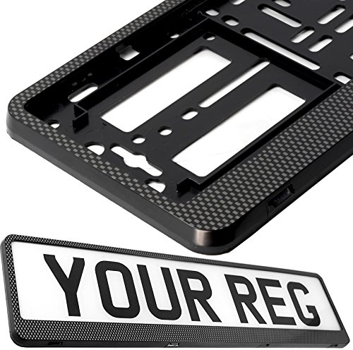 TAPORT® CAR REGISTRATION HOLDER FOR ANY CAR, VAN, TRUCK, TRAILER (CARBON HINGED)