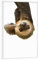 artboxONE Poster mit weißem Rahmen 30x20 cm Tiere Little Cute Sloth - Bild Animal Sloth