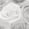 Melany Rose Floral Wallpaper World of Wallpaper - Ideal for Lounges, Bedrooms, Dining Rooms and Hallways (Grey)