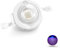 CHANZON 10 Stück Hochleistungs LED Chip 3W Lila Ultraviolett (UV 405 nm/400 mA - 500 mA/DC 3 V - 3,2 V/3 Watt) SMD COB Lichtemitter Komponenten Diode 3 W UV Birnenlampe Perlen DIY Beleuchtung