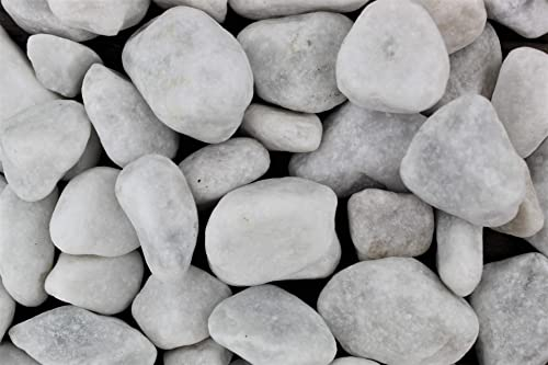 Gartenwelt Riegelsberger Kies 1 kg Carrara gewaschen Körnung 25-40 mm Gartenkies Teichkies Dekokies Deko Wegkies Wegsteine Zierkies Naturkies