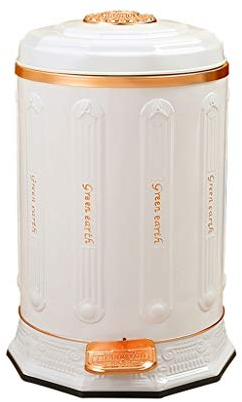 Poubelle Salle de Bain Poubelle en métal nordique peut allumer la chambre de salon de luxe avec couvercle Poubelle vivante Type de pédale domestique Grande corbeille à papier blanche 10L Poubelle rect