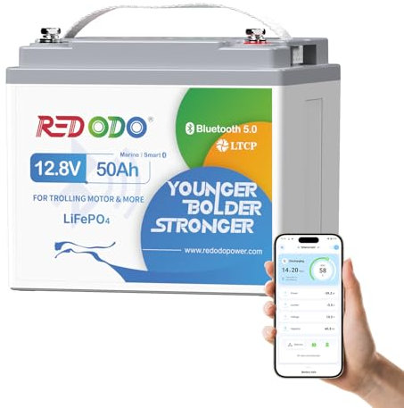 Redodo 12V 50Ah Bluetooth Batterie LiFePO4,Batterie Lithium Protection Contre Basses Températures,Légère et Portable Parfaite pour Trolling Motor,Détecteur de Poissons, Feux de Navigation,Camping