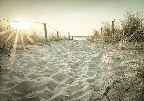 WallArena Vlies Fototapete, Strand, 208x146cm | Fototapeten - Tapeten - für Wohnzimmer Schlafzimmer - Vliestapete Wandtapete Tapete 3D Effekt- inkl. Kleister