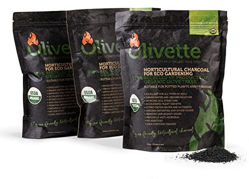 Olivette Carbón Vegetal Activado para horticultura para Plantas, absorbentes de Humedad para horticultura de terrario, Suministros para terrario, Certificado orgánico USDA 3 Bolsas