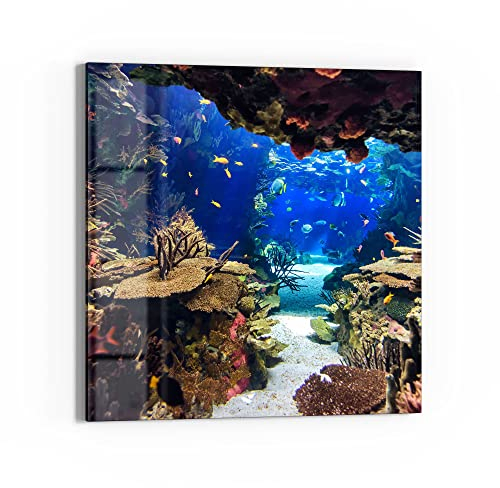 DEQORI Glasbild Echtglas | Motiv Exotisches Aquarium | quadratisch einteilig 50x50 cm | schöne Dekoration | Wandbild für Wohnzimmer, Schlafzimmer, Flur & Küche | moderne Wanddeko