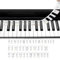 1pcs Piano keyboard stickers, piano sticker, piano notes overlay, Removable Piano Keyboard Note Labels, Piano Notes Reusable 88 Key Full Size Piano Keyboard Note Labels No Need Stickers(Rainbow Color)