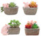Youfui Home Decor Topf, Schwein Sukkulenten Übertopf Blumentopf Dekor für Home Office Schreibtisch (4 Stück Schweine)
