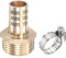 sourcing map Raccord de tuyau en laiton droit 19 mm x G1 filetage mâle avec collier de serrage en acier inoxydable, lot de 1