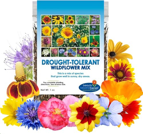 Drought Resistant Wildflower Seeds - 1oz, Open-Pollinated Bulk Flower Seed Mix for Beautiful Perennial, Annual Garden Flowers - No Fillers - 1 oz Packet
