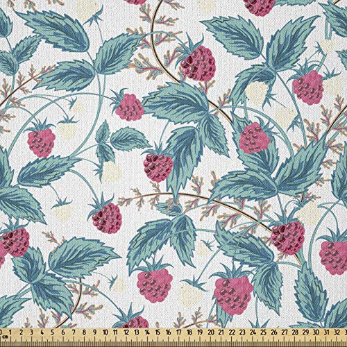 ABAKUHAUS Obst Stoff als Meterware, Frühlingszeit Himbeeren, Microfaser Multi Zweck Dekostoff für Kunsthandwerke, 3M (230x300cm), Mehrfarbig