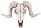 VOANZO Resin Goat Horn Skull Wall Hanger Mounted For Household Wall Decoration Bar Restaurant Hotel Wall Decoration Pendant