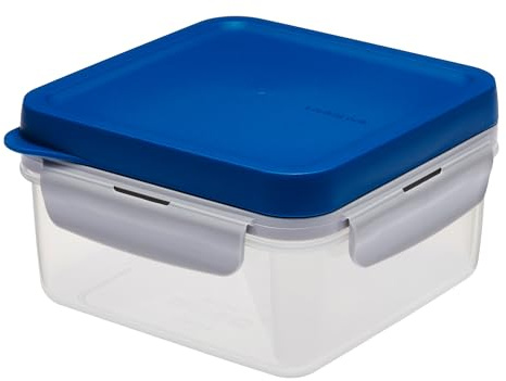 Lock & Lock to-GO Lunch Box – Brotdose mit 2 Fächern - aus hochwertigem, transparentem Kunststoff, bpa-frei – auslaufsicher – quadratisch, 1,2 Liter, blau