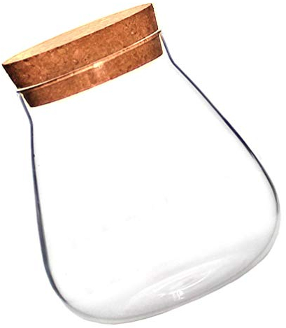 Bocal en Verre avec Couvercle - Terrarium Plante DIY, Pot en Verre pour Micro Paysage, Bouteille avec Bouchon LièGe, BonbonnièRe en pour DéCoration Maison
