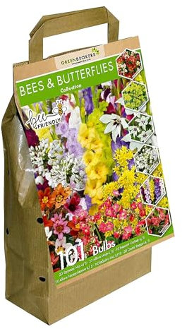101 Bee & Butterfly Summer Bulb Collection | 101 Bulbs | 6 Flowering Varieties | Mixed Colours | Eco Packaging | Plant Now Ready to Bloom in Summer