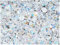 SCARA BEADS 600 cuentas de cristal checas facetadas, redondas, 4 mm, cristal AB