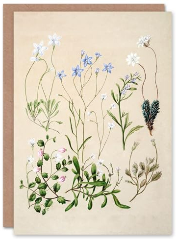 Artery8 Sarah Featon Art Card New Zealand Perennial Wild Flowers