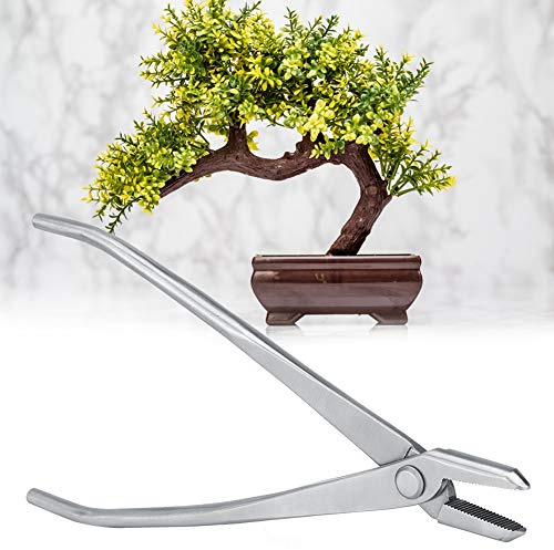 CHICIRIS Bonsai-Knopfschneider Edelstahl für Garten Bonsai 1 Stück