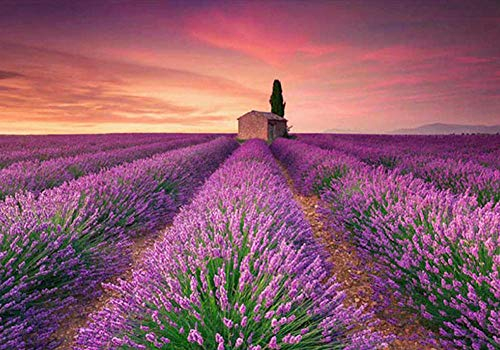 ERBWB DIY 5D Diamant Painting Provence Lavendel Malerei Kit Voller Bohrer Diamant Stickerei Strass Malerei Kleben Malen nach Zahlen Stich Kunst Kit Zuhause Dekor Mauer Aufkleber 30cm*40cm