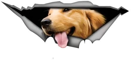 Autoaufkleber Golden Retriever 15cm(5.9 Inch) Reflektierende Aufkleber 3D Zerrissen Golden Retriever Car Sticker Hund Personalisieren Lustig Dekor