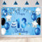 13. Geburtstag Banner 13 Geburtstag Deko Blau Party Dekoration Junge, Stoff Schild Poster 13. Jahrestag Party Geburtstagsbanner Tischschmuck Plakat, Official Teenager