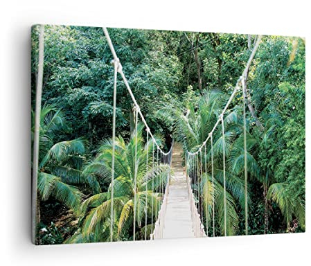 ARTTOR Bilder auf Leinwand Tropen Dschungel Brücke Leinwandbild 70x50cm Wandbilder Dekoration Wohnzimmer Schlafzimmer Küche Deko Klein Wanddeko Bild Wand Kunstdruck Art Wall Decor Canvas AA70x50-4963