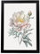 Nacnic Pfingstrose 3 Poster im nordischen Stil. Botanik Illustrationen mit Blumen und Pflanzen im Wasserfarbe. Innenarchitektur und Dekoration. A4 schwarzen Rahmen.