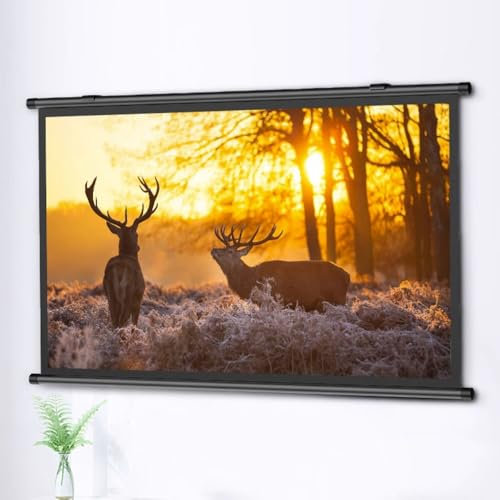 GSKDZG 40 Inch 50 Inch 60 Inch Projector Screen Manual Pull Down Projection Screen HD Home Theater Movie Screen 4K Portable Screen 4:3 16:9 Format(30 Inch (16:9))