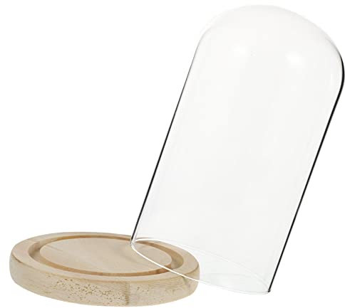 Alipis 1 Set Glasabdeckung Fingerhut Pflanzenvermehrungsstation Ständer Tischdekoration Bäume Basis Terrarium Glas Beleuchtete Anzeige Faux Künstliche Klare Pflanzen Blumen Cloche Holz