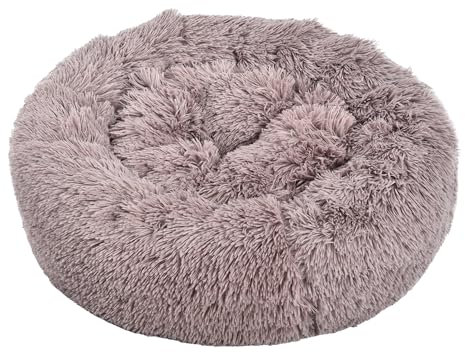 Dehner Hunde- und Katzenbett Cookie, Ø ca. 58 cm, Höhe ca. 14 cm, Polyester/Plüsch, Hellbraun