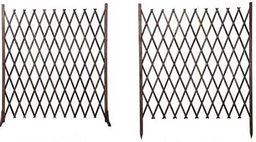 Clôture de treillis de jardin rétractable, clôture extensible en bois pour chien, séparateur autonome pour décoration de terrasse, pelouse, écran d'extérieur robuste et pliable