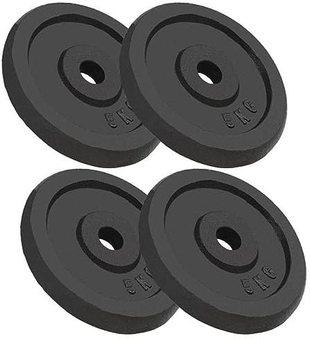 Hantelscheiben 4 Stk. 4x5 kg Gusseisen, LAPOOH Gewichte Hantel, Gewichtsscheiben, Trainingsgewichte, Hantelgewichte, Fitness Gewichte