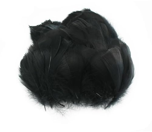TYEQWT 400 Stunk Elegante Schwarze Federn - Mystery Federn für Gothic Deko, Karnevalskostüme, Hüte, Zentangle Art & dramatische Accessoires (6-12 cm)