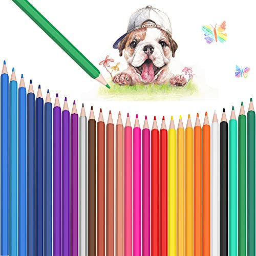 Rhimooay 48 Öl- Buntstifte Set, Bbuntstifte für erwachsene Tolle Buntstifte für Erwachsene, Anfänger und Künstler zum Skizzieren, Malen und Kritzeln