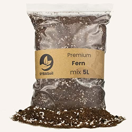 Sybotanica Farn-Erde 10 L – Premium Coco Blumenerde für Farn, Hedera & mehr, Torffrei & 180 Tage Bio-Dünger – Für Zimmerpflanzen-Liebhaber