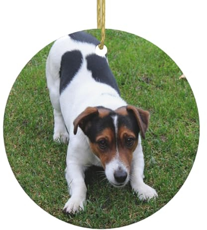 Jack Russell Dog Christmas Ornaments Round Ornaments for Christmas Tree Hanging Ceramic Christmas Tree Decorations for Home Indoor Outdoor Decor