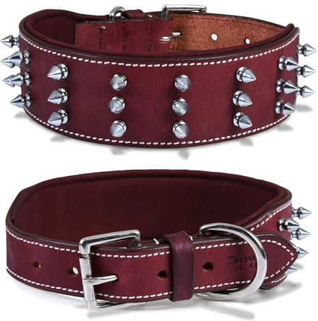 DowgClub Collar de Perro con Pinchos de Cuero auténtico, Grano Completo, Resistente, cómodo, Fuerte, Mejor para Razas Medianas, Grandes y XL, 2 Pulgadas de Ancho (Largo (se Ajusta a Cuello de 18.5 a