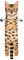 AGRIMONY Drole Serviette Main Chat Suspendue -Cadeau Original Utile Insolite Humour -Kawaii Chat Serviette Doux Sechage Rapide Toilette Deco Interieur Bain Cuisine-Idee Cadeau Femme Noel Anniversaire
