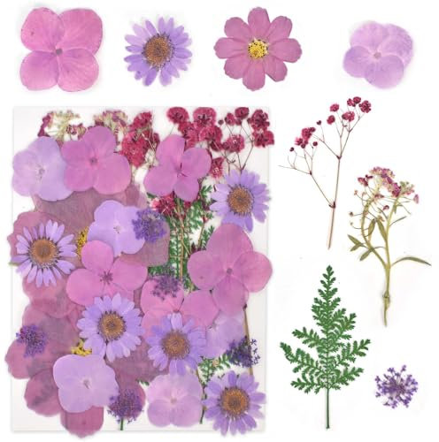 Cleminsta Fleurs Séchées Naturelles, Vraies Fleurs Pressées Séchées et Naturelles, Fleur Séchée Comprimée, Pressé Fleurs, Presse Fleurs Naturelles et de Feuilles pour Amateurs de Bricolage (Violet)
