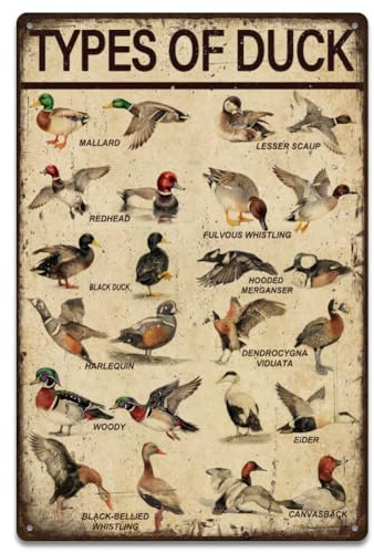 SUPERDANT Blechschild Entenarten Blechschilder Retro Poster Vintage Wanddekoration Blechschilder Metallschilder Für Landhaus Wohnzimmer Schlafzimmer Man Cave Garage Jagdzimmer Klassenzimmer Dekor