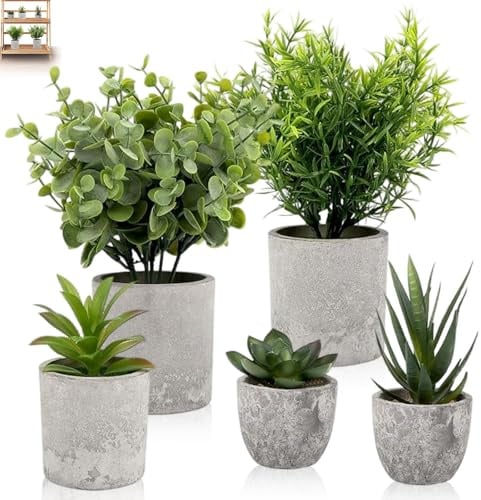5Pcs Kunstpflanze in Topf für Deko Wohnzimmer, Schlangenzunge, Agave Sukkulenten & Eagle Claw Aloe Kunstpflanzen, Klein Künstliche Pflanzen, Plastikpflanzen wie Echt für Schlafzimmer, Büro, Badezimmer