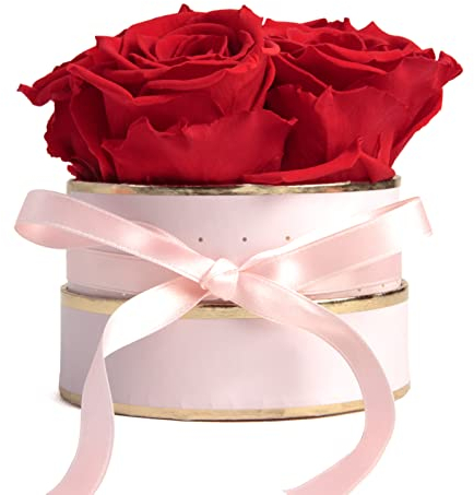 ROSEMARIE SCHULZ Heidelberg Rosenbox rosa rund Infinity Rosen Rot - Blumenbox 4 ewige Rosen haltbar 3 Jahre Durchmesser ca. 10cm - Geschenke für Frauen Beste Freundin Geschenk (Small, Rosa-Rot)