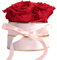 ROSEMARIE SCHULZ Heidelberg Rosenbox rosa rund Infinity Rosen Rot - Blumenbox 4 ewige Rosen haltbar 3 Jahre Durchmesser ca. 10cm - Geschenke für Frauen Beste Freundin Geschenk (Small, Rosa-Rot)