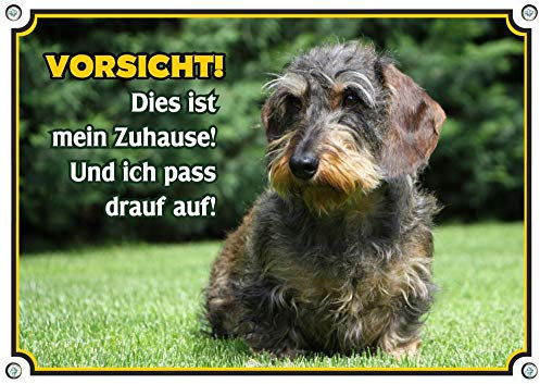 Petsigns wunderschönes Hundeschild - Rauhaar Dackel - Warnschild hochwertig - aus Metall, DIN A4