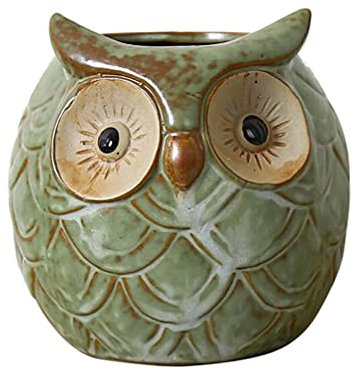 Healifty - Vaso per piante grasse a forma di gufo, decorazione per la casa per piante grasse di grandi dimensioni, 1 pezzo (come mostrato)