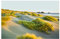 Bilderwelten Vlies Fototapete Strand Dünen und Gräser am Meer Tapete Premium 190x288cm