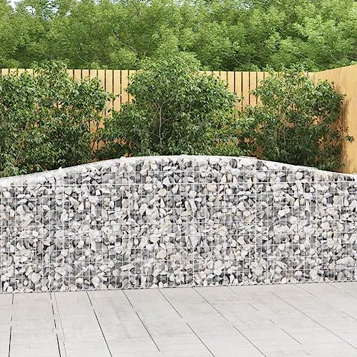 WHOPBXGAD blumentopf,blumentopf Gross,blumentöpfe,Gabionen mit Hochbogen 20 STK. 400x50x80/100cm Verzinktes Eisenpflanzkübel groß außen,blumentopf hoch,pflanzkübel,