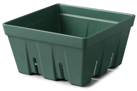Zeal Fridge Storage Box for Fruits and Salad, Melamine Kitchen Storage Container – Wash and Serve Fruit & Salad Colander Box, Large 19cm (Forest Green)