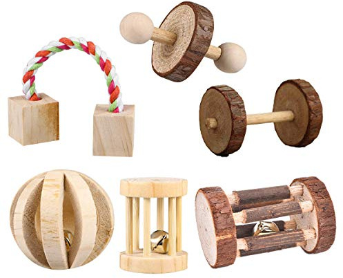 CCCYMM 6 Pcs Pet Natural Wooden Chew Toys Dumbells Exercise Bell Molar Toy for Parrot, Rabbit, Chinchilla, Guinea Pig, Hamster Small Animals