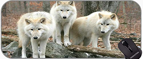 Full Desk XXL Extended Tapis de souris de gaming Predator Wolf antidérapant pour ordinateur portable